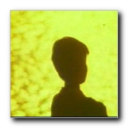 tamil movie Dalapathi